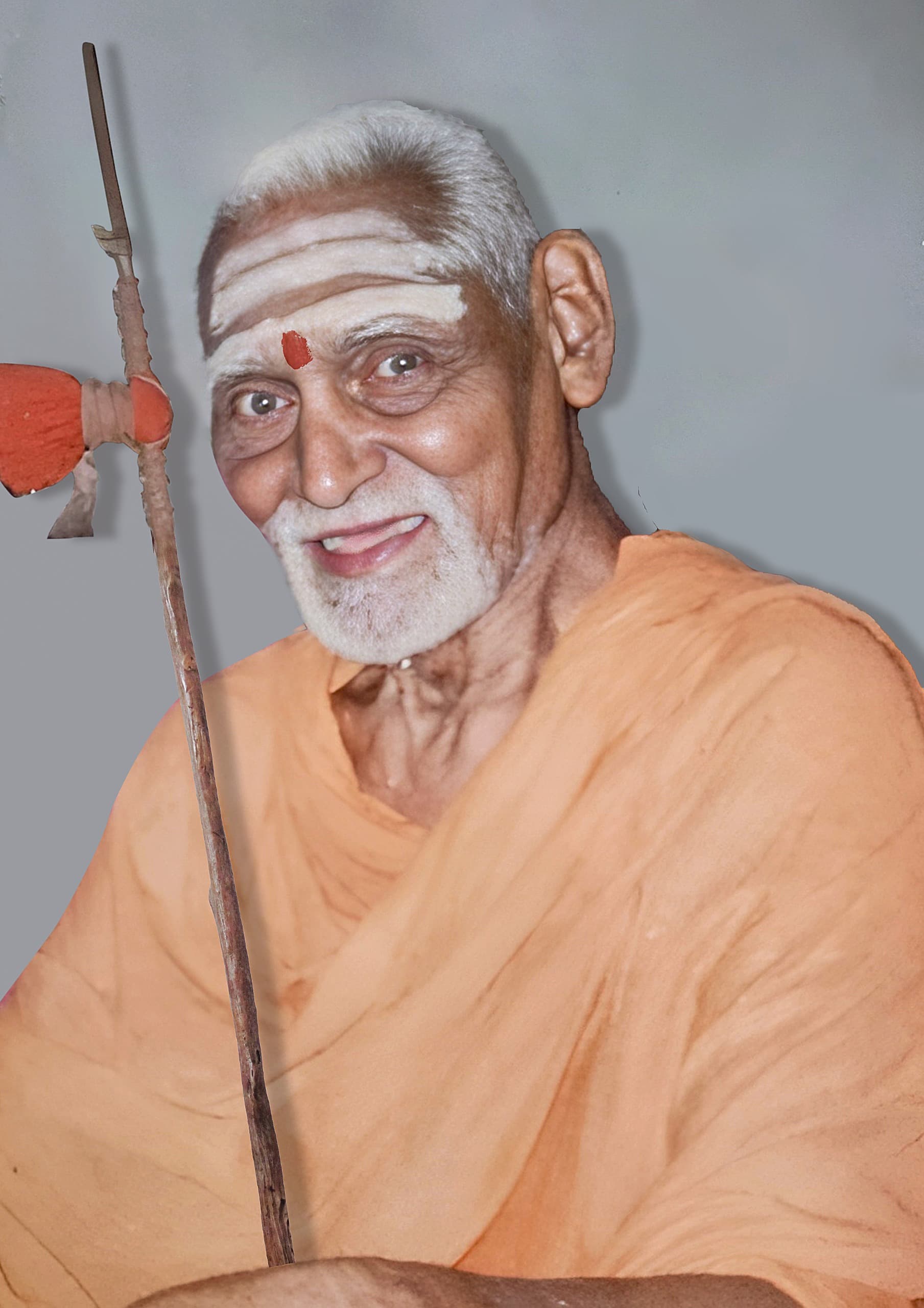Sri Sri Sri Janardanananda Saraswati Swamiji
